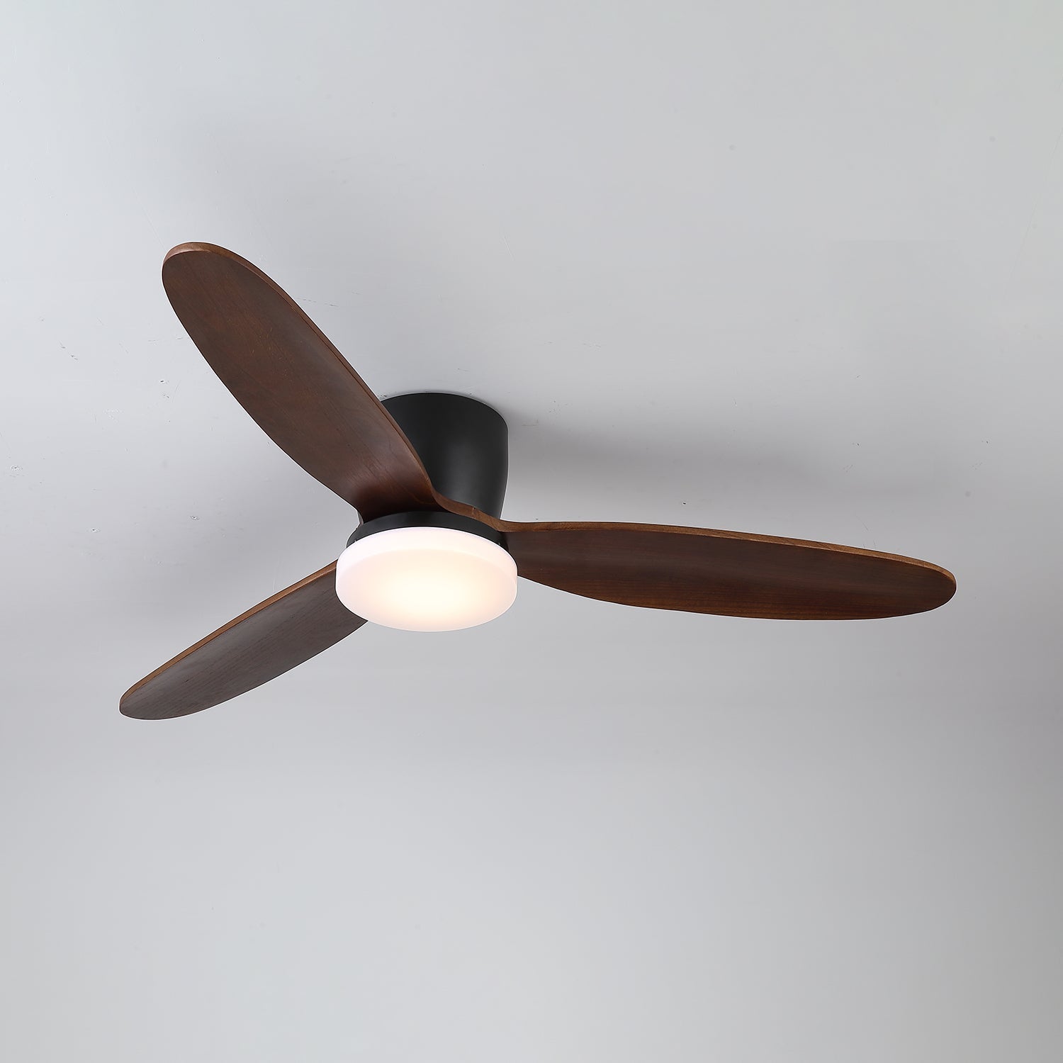 Evenlor Ceiling Fan Light