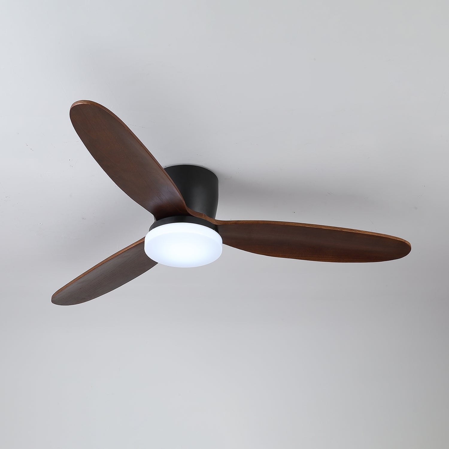 Evenlor Ceiling Fan Light