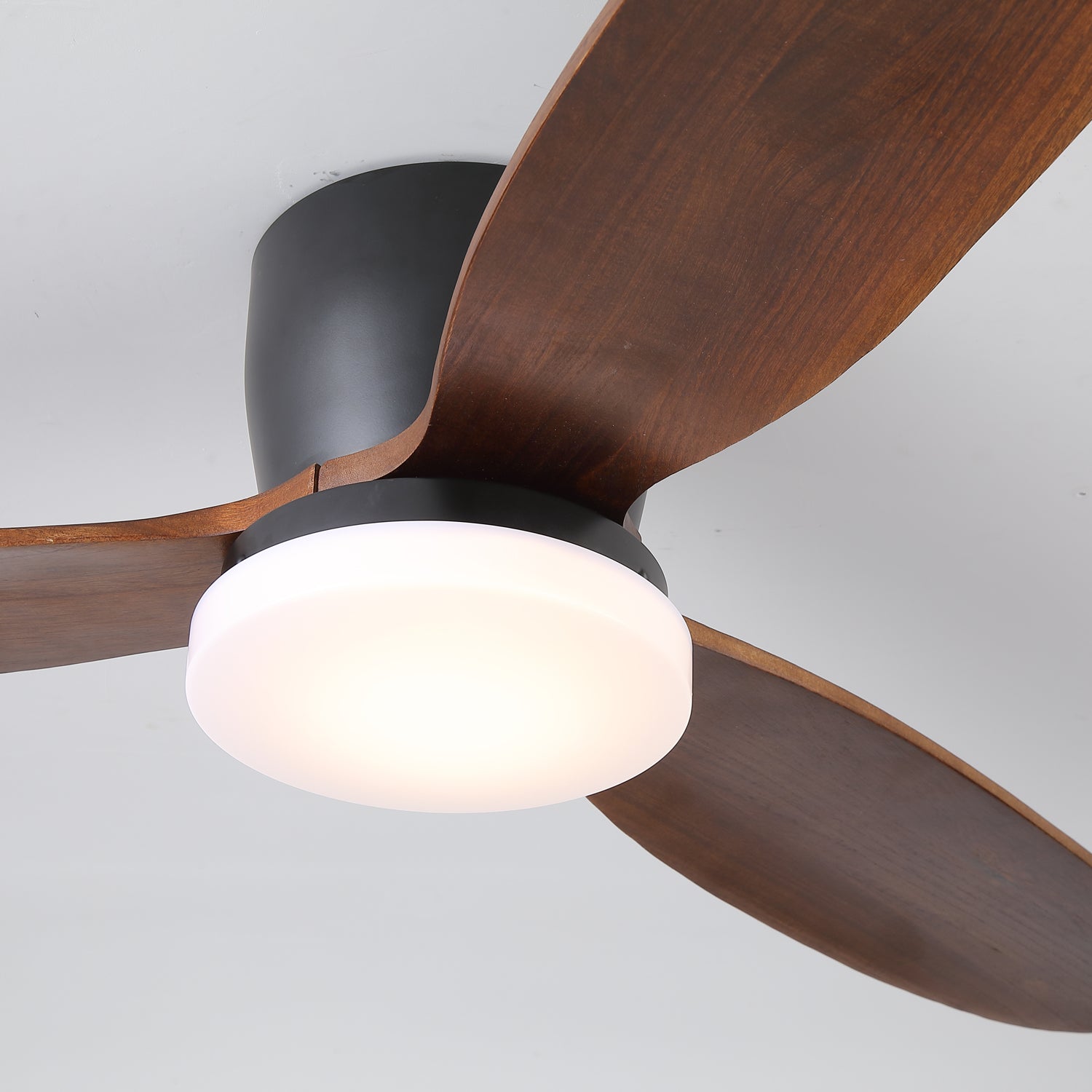 Evenlor Ceiling Fan Light