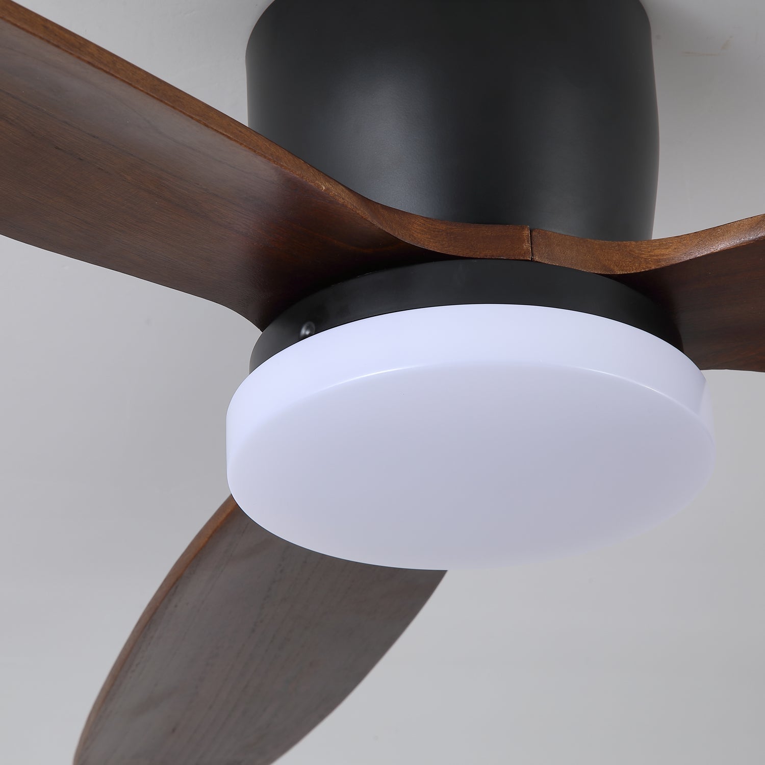 Evenlor Ceiling Fan Light