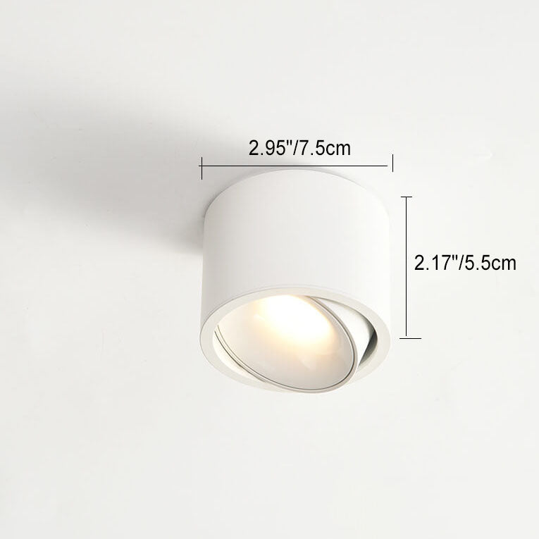 Renma Round Ceiling Light