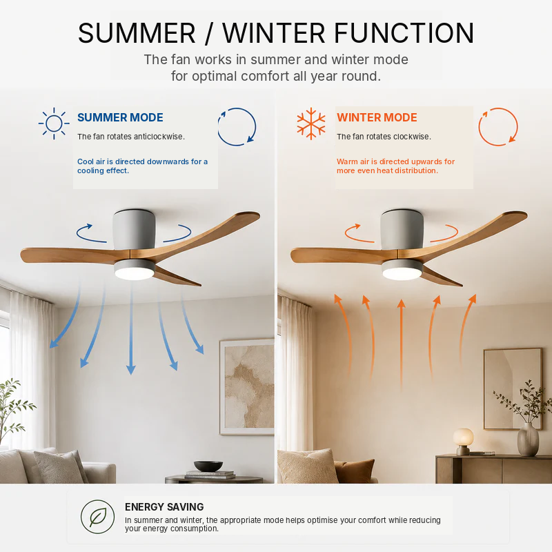 Solissa Ceiling Fan Light