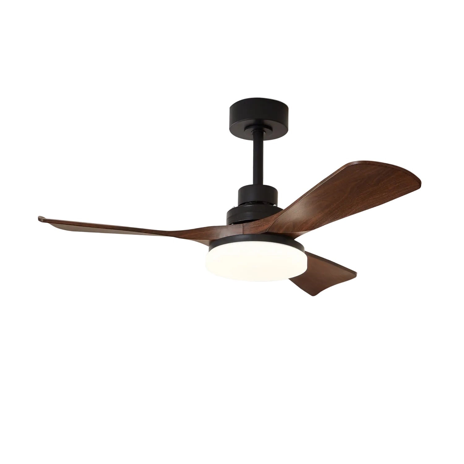 Bricove Modern Ceiling Fan Light