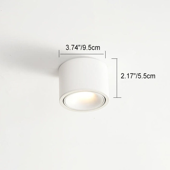 Renma Round Ceiling Light