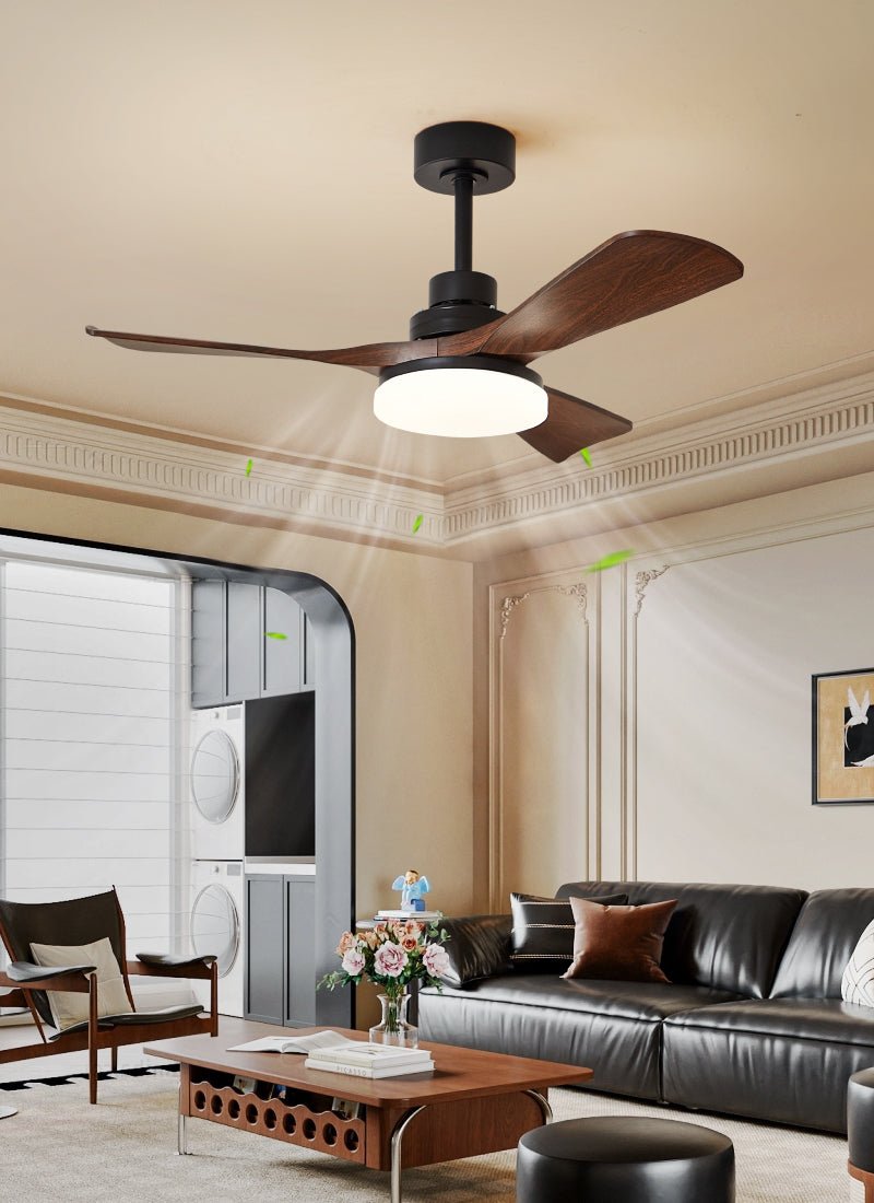 Bricove Modern Ceiling Fan Light