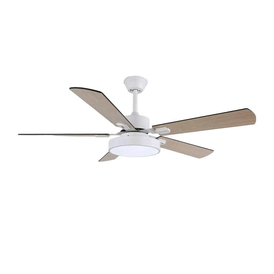 Boreef Ceiling Fan Light