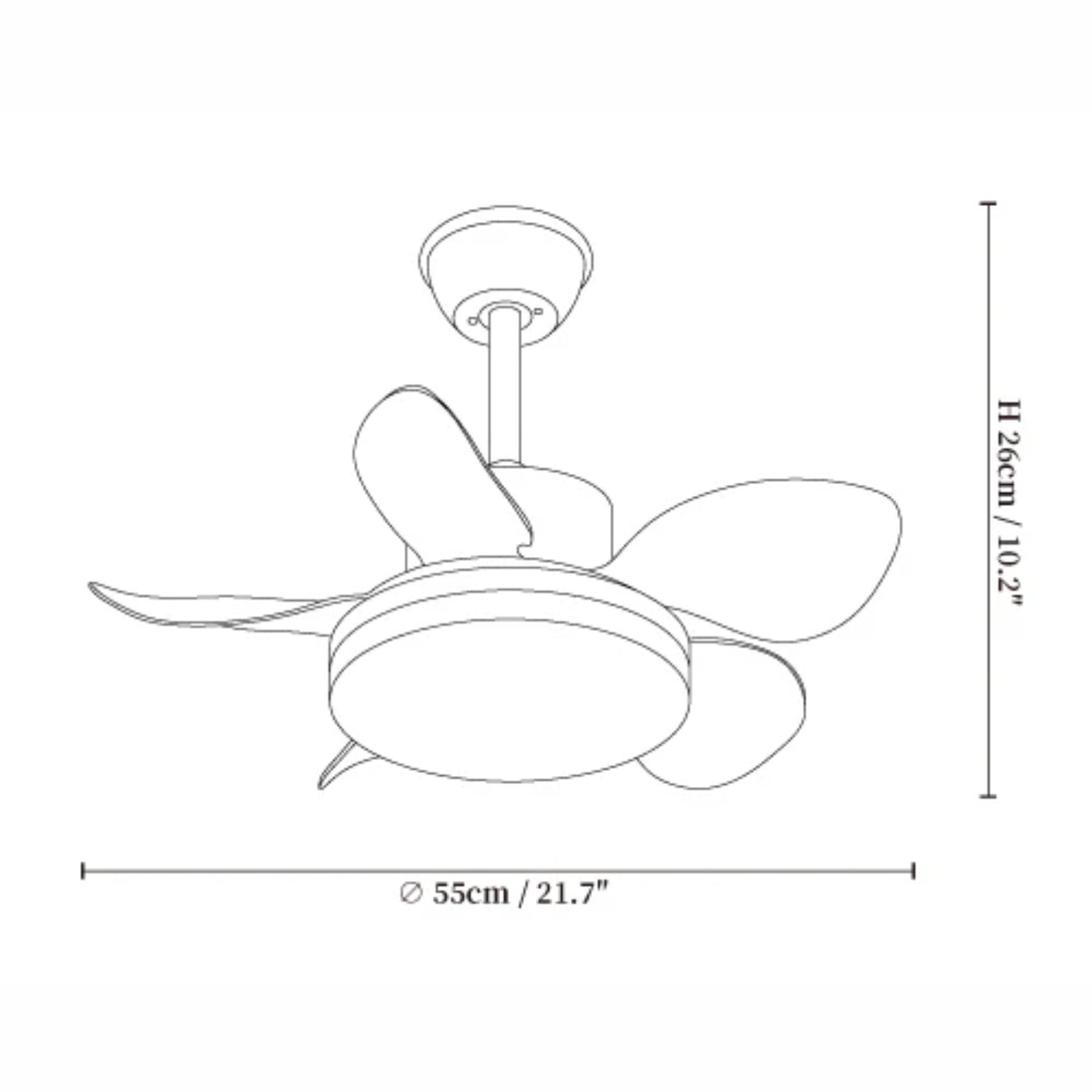 Evone Ceiling Fan Light