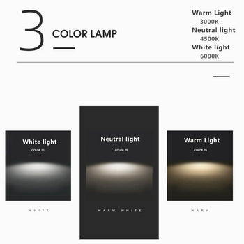 Casralen Outdoor Ceiling Light