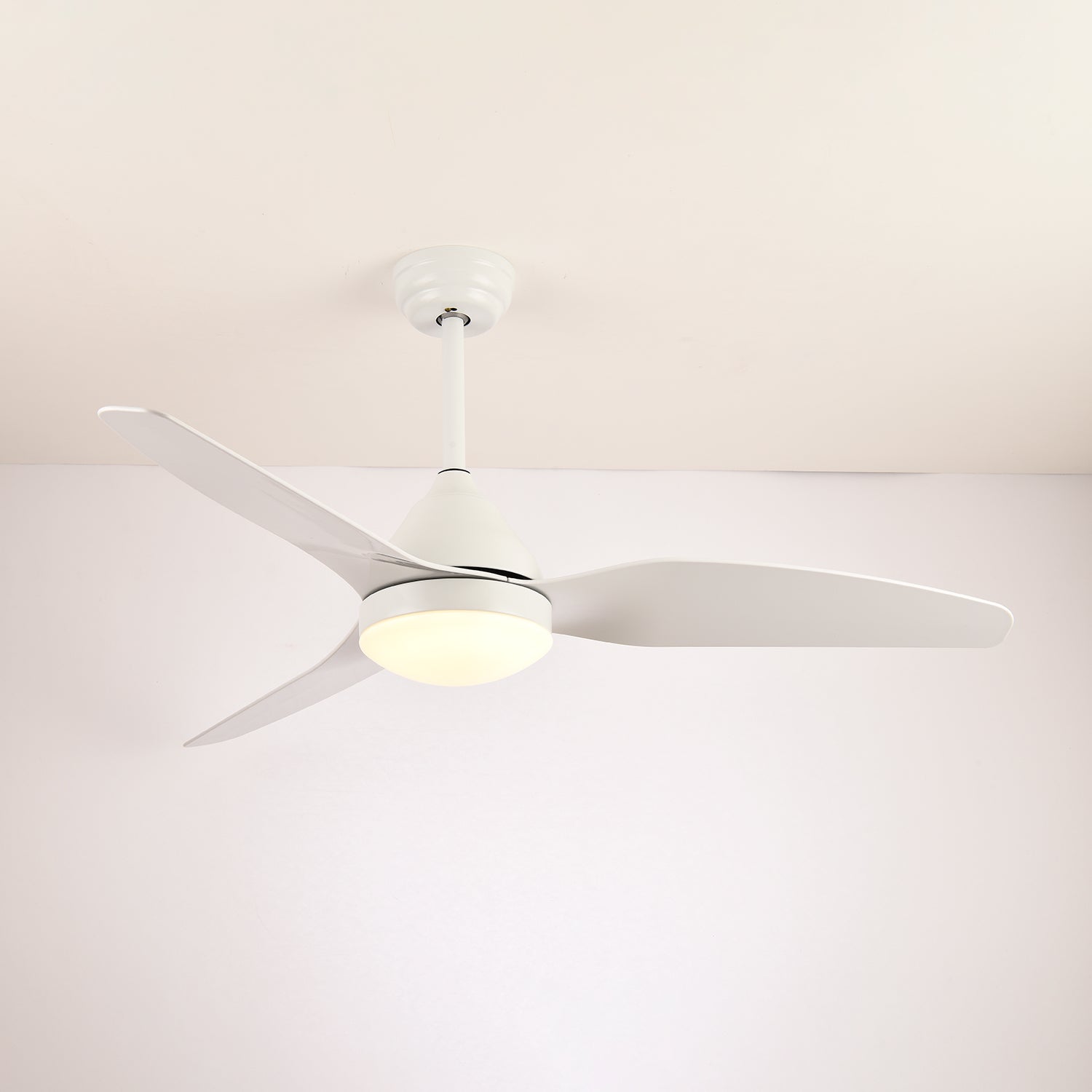 Emil Ceiling Fan Light