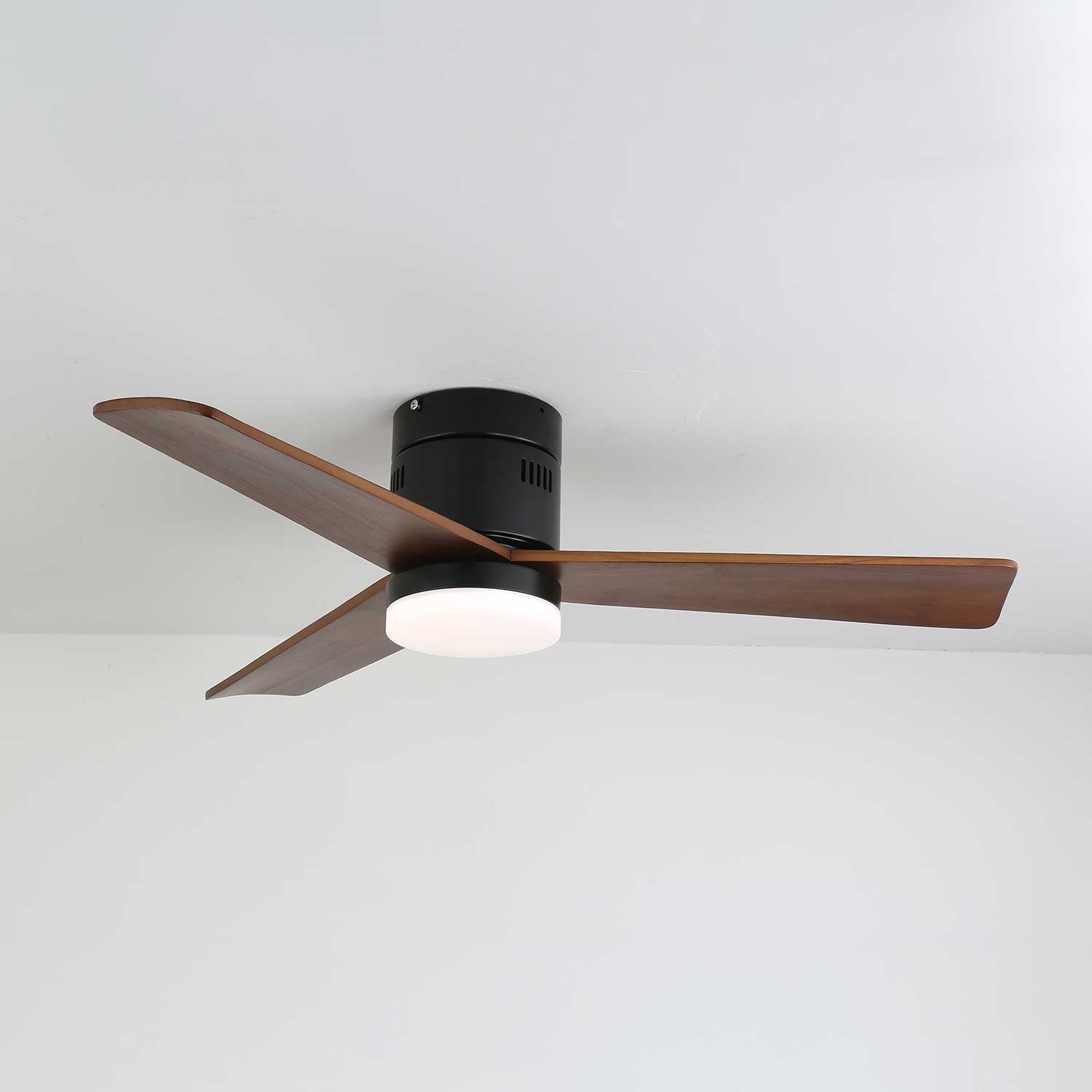 Viroayan Ceiling Fan Light