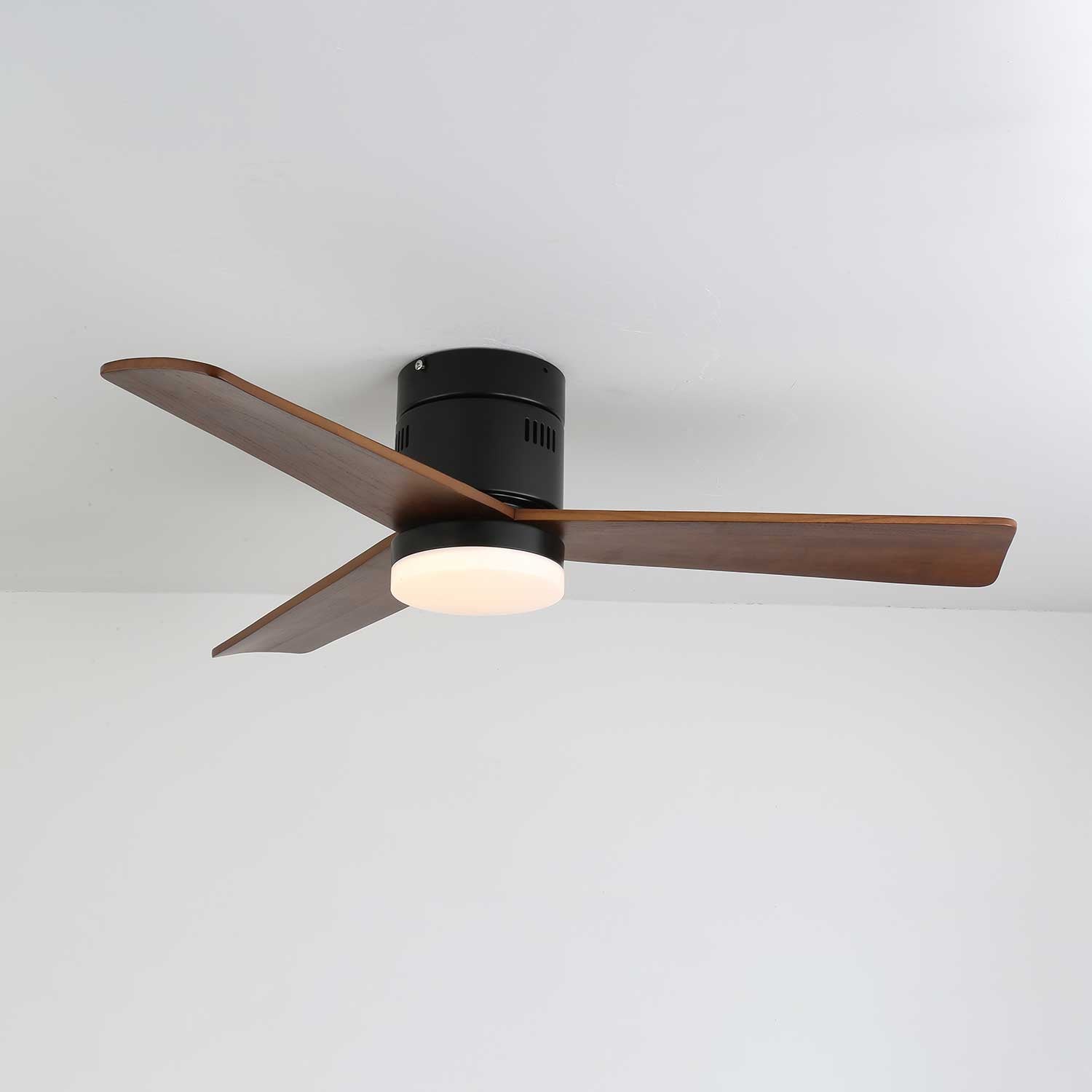 Viroayan Ceiling Fan Light