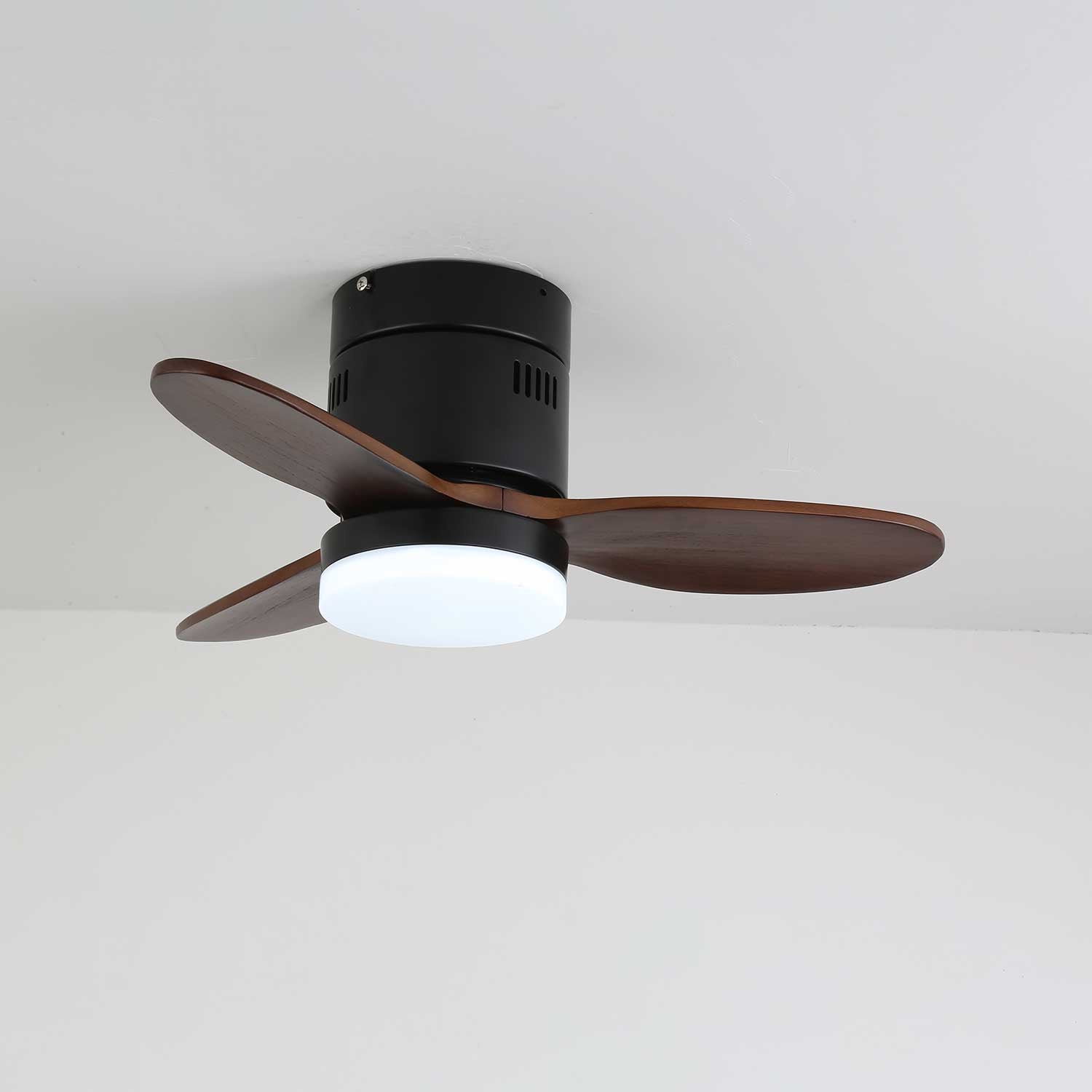 Viroayan Ceiling Fan Light