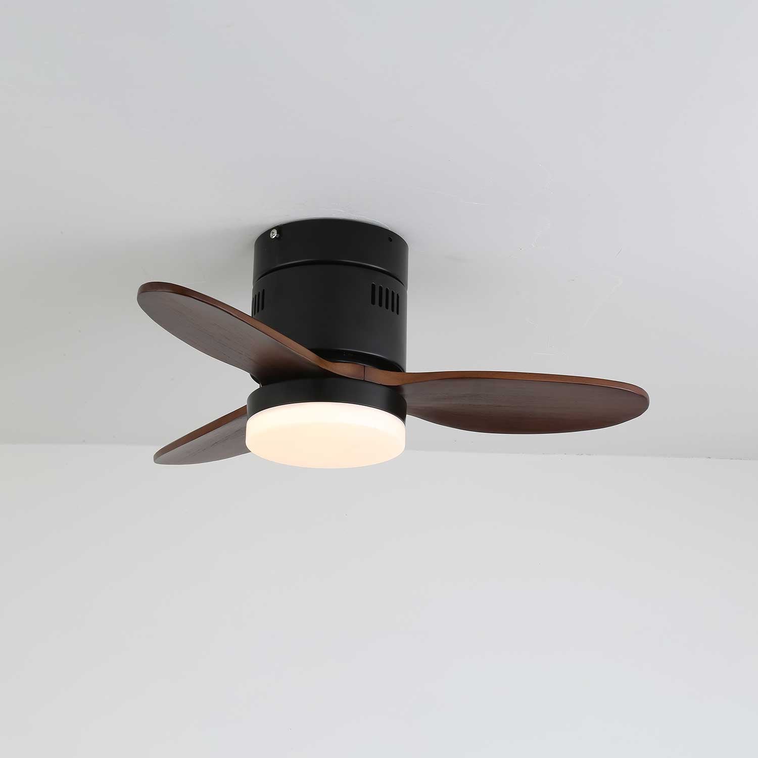 Viroayan Ceiling Fan Light