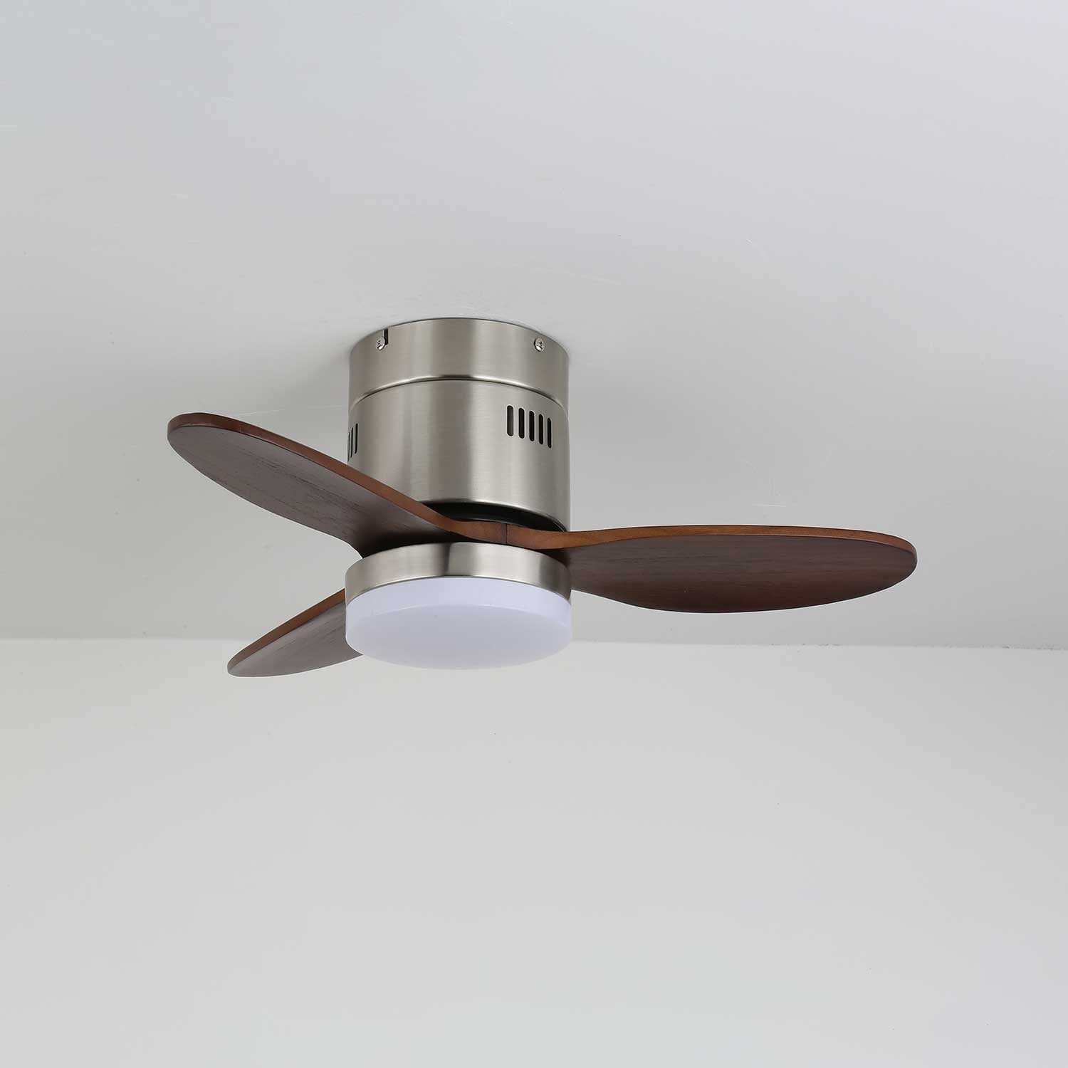 Viroayan Ceiling Fan Light