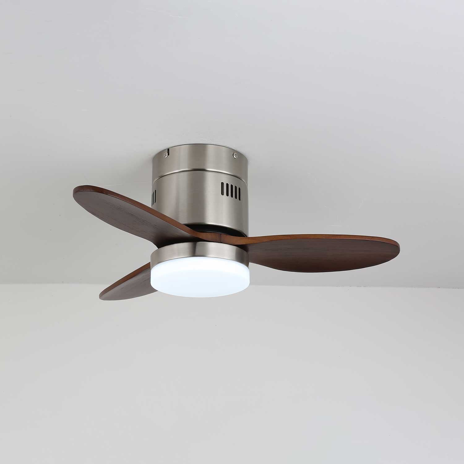 Viroayan Ceiling Fan Light