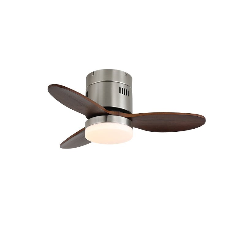 Viroayan Ceiling Fan Light