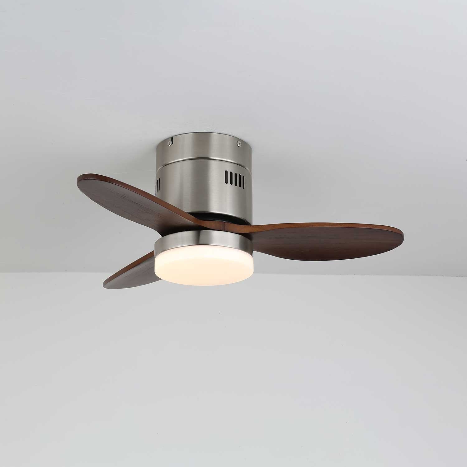 Viroayan Ceiling Fan Light
