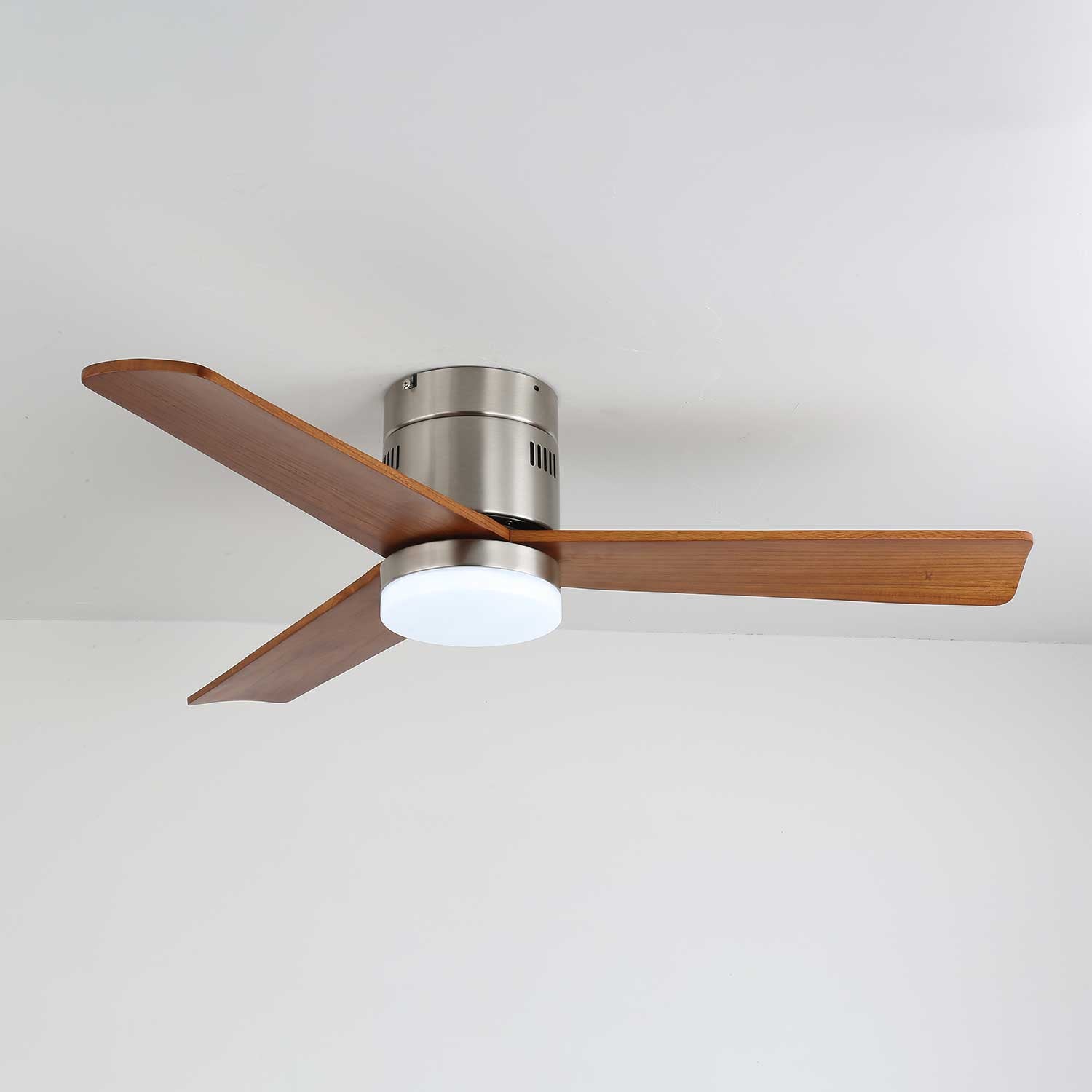 Viroayan Ceiling Fan Light