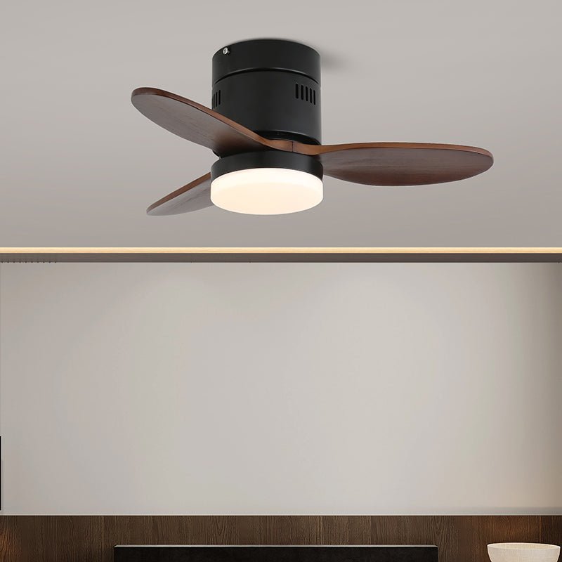 Viroayan Ceiling Fan Light