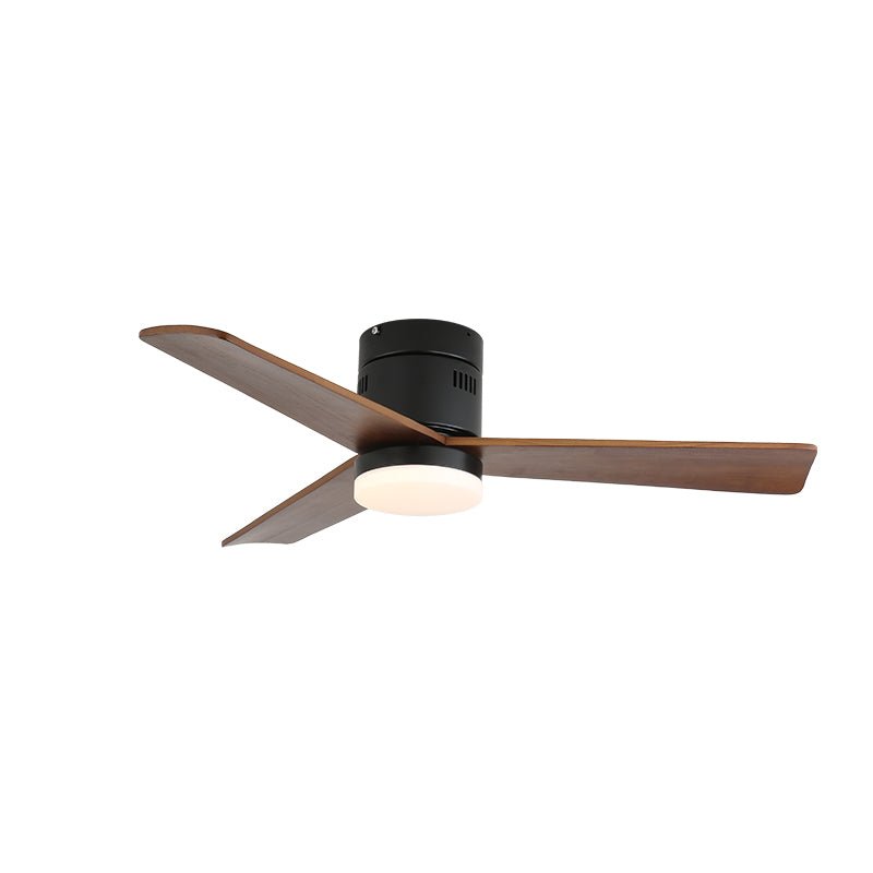 Viroayan Ceiling Fan Light