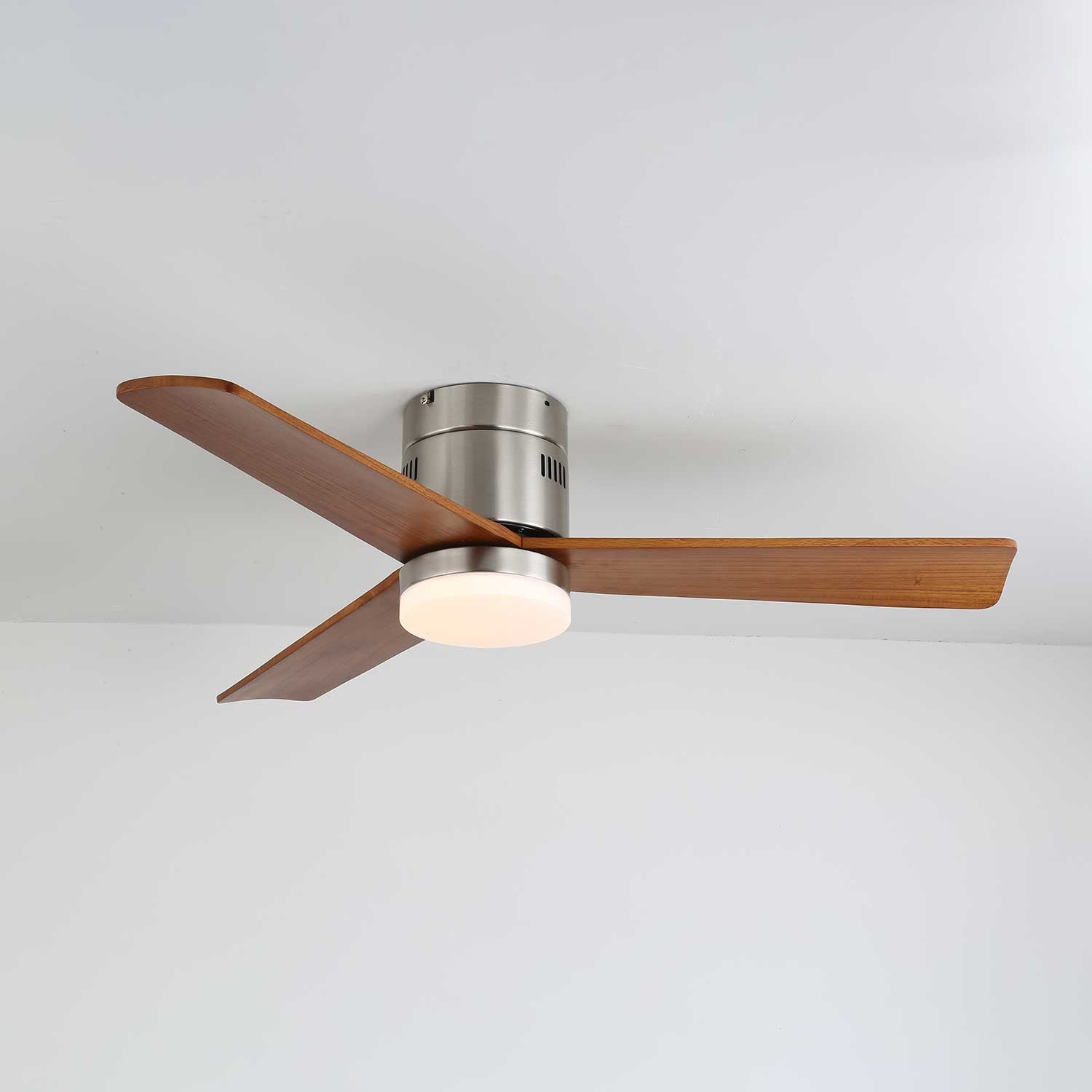 Viroayan Ceiling Fan Light