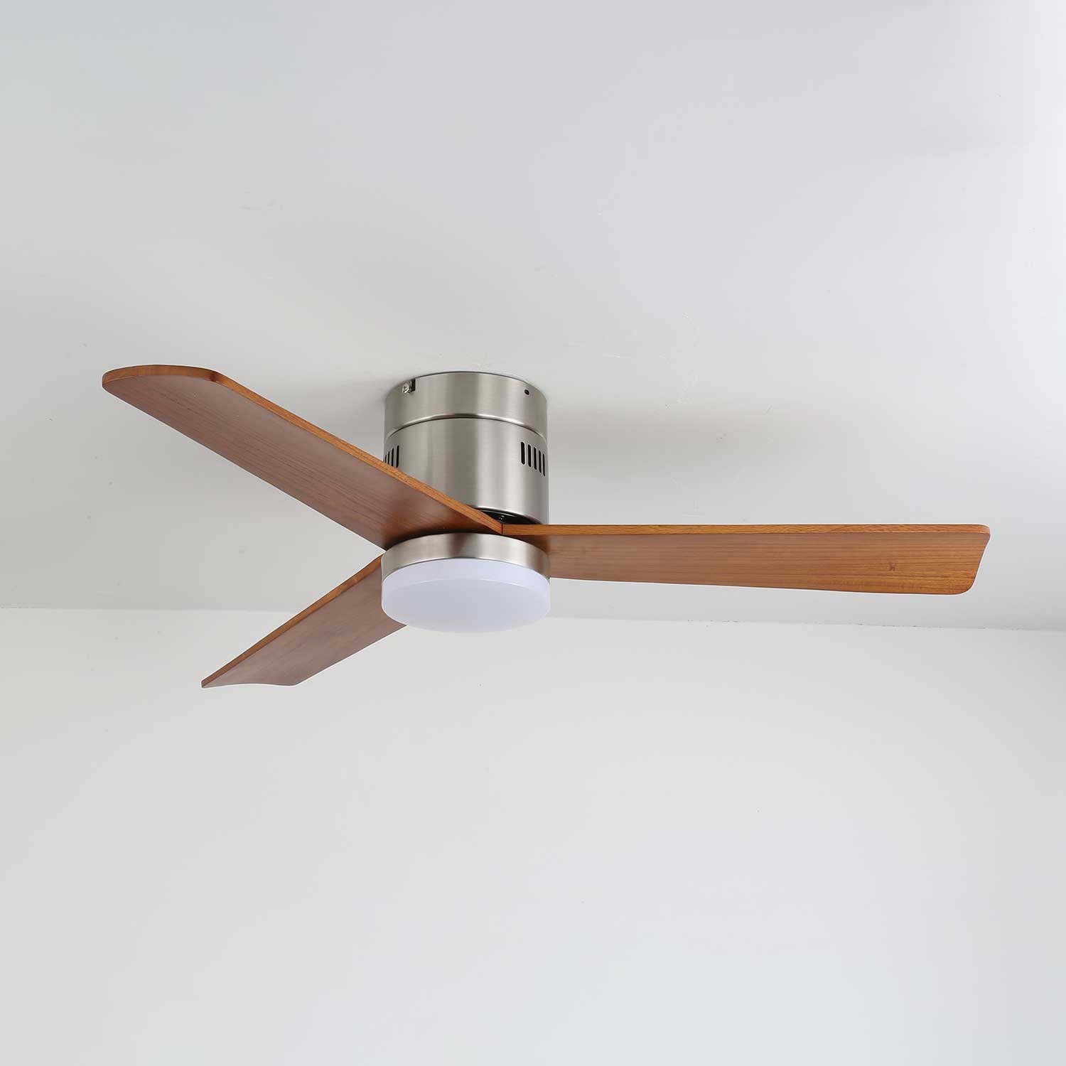 Viroayan Ceiling Fan Light