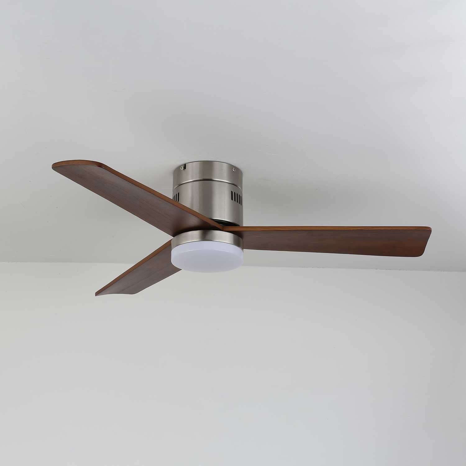 Viroayan Ceiling Fan Light
