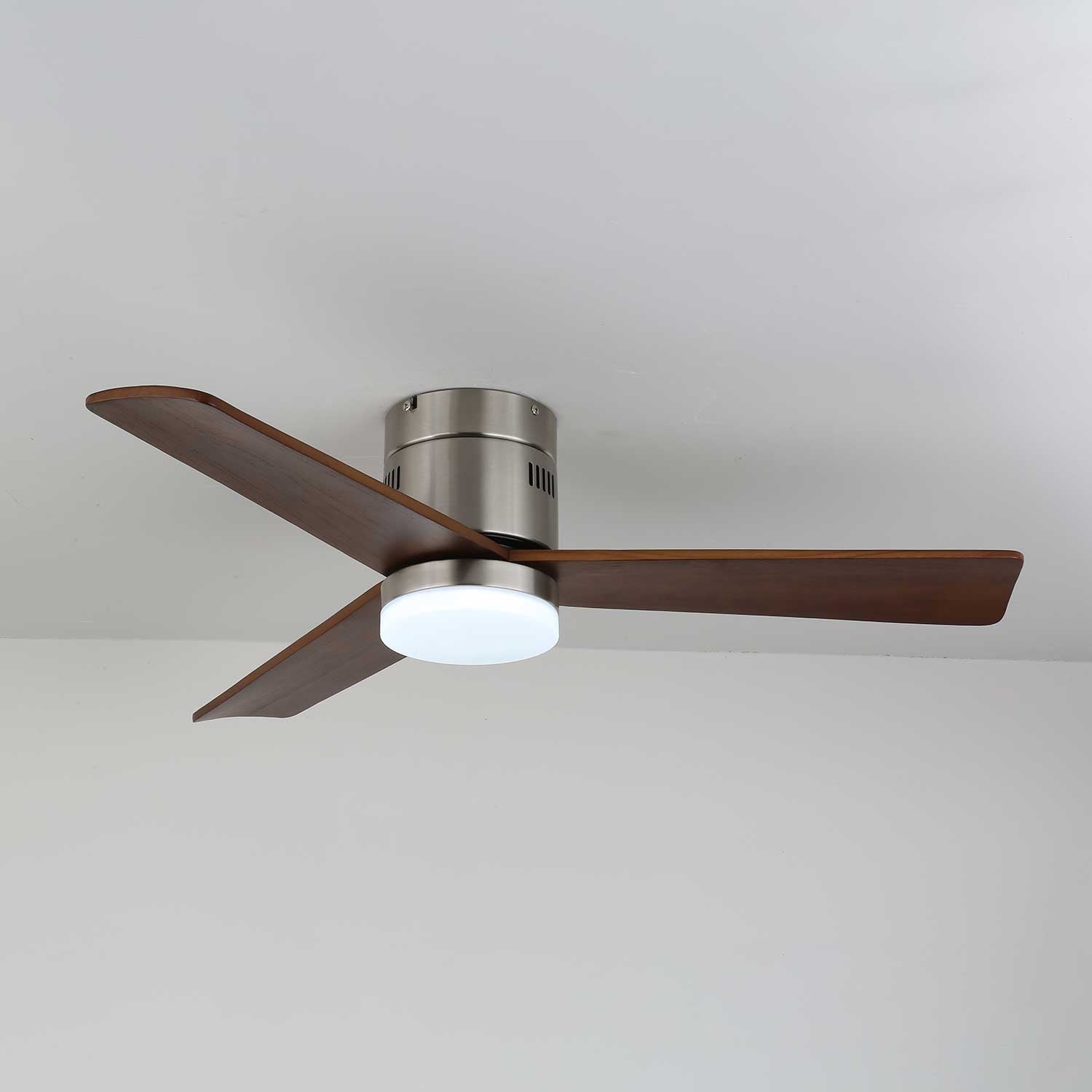 Viroayan Ceiling Fan Light