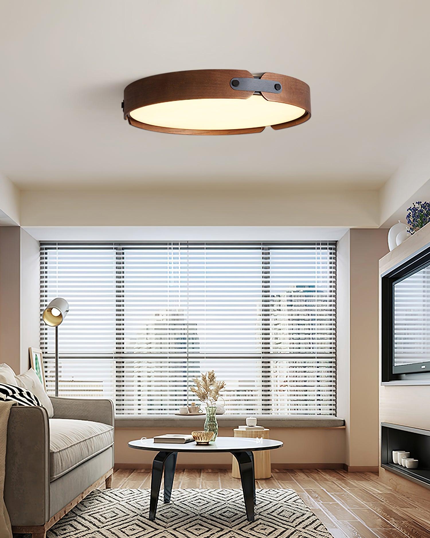 Renlenor Ceiling Light