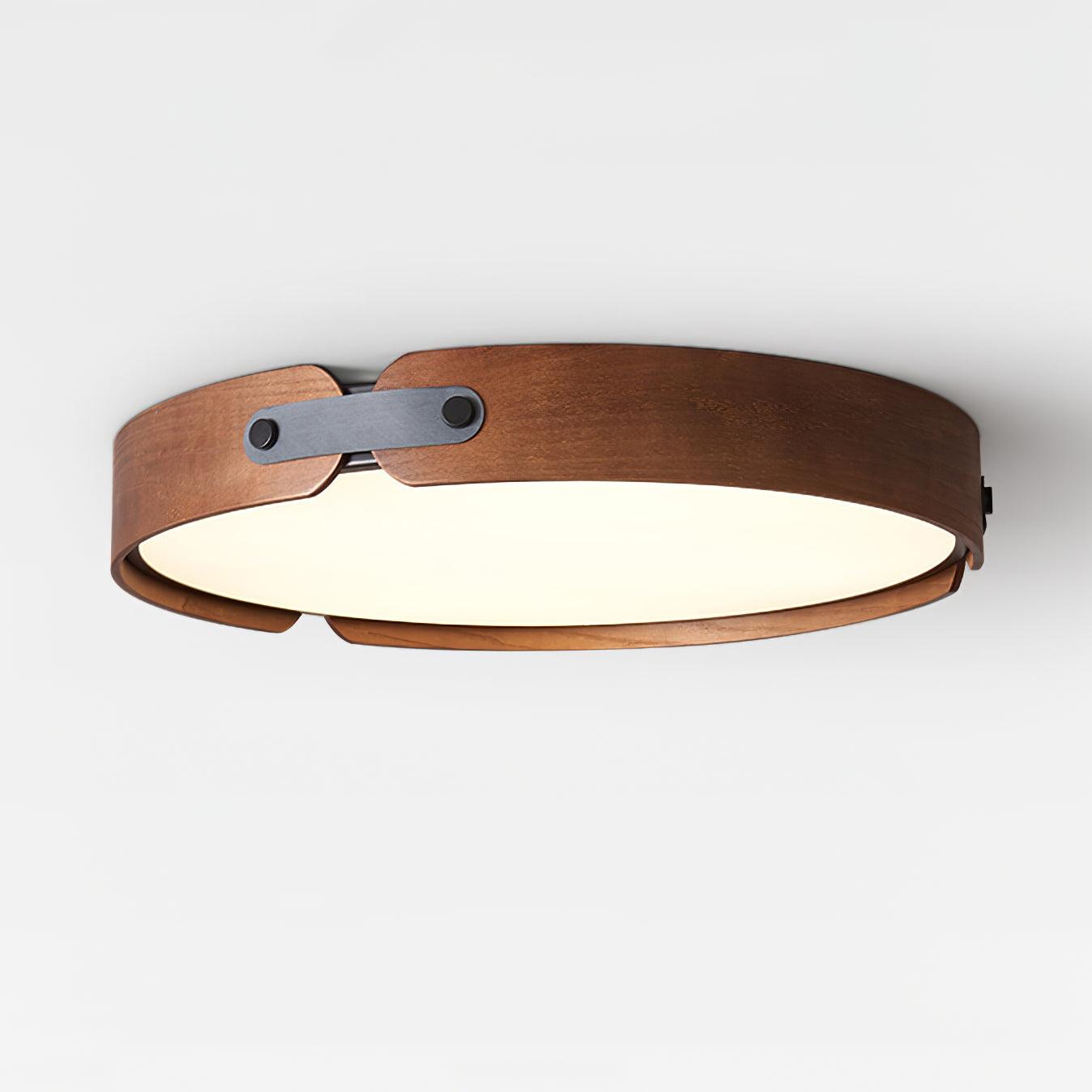 Renlenor Ceiling Light