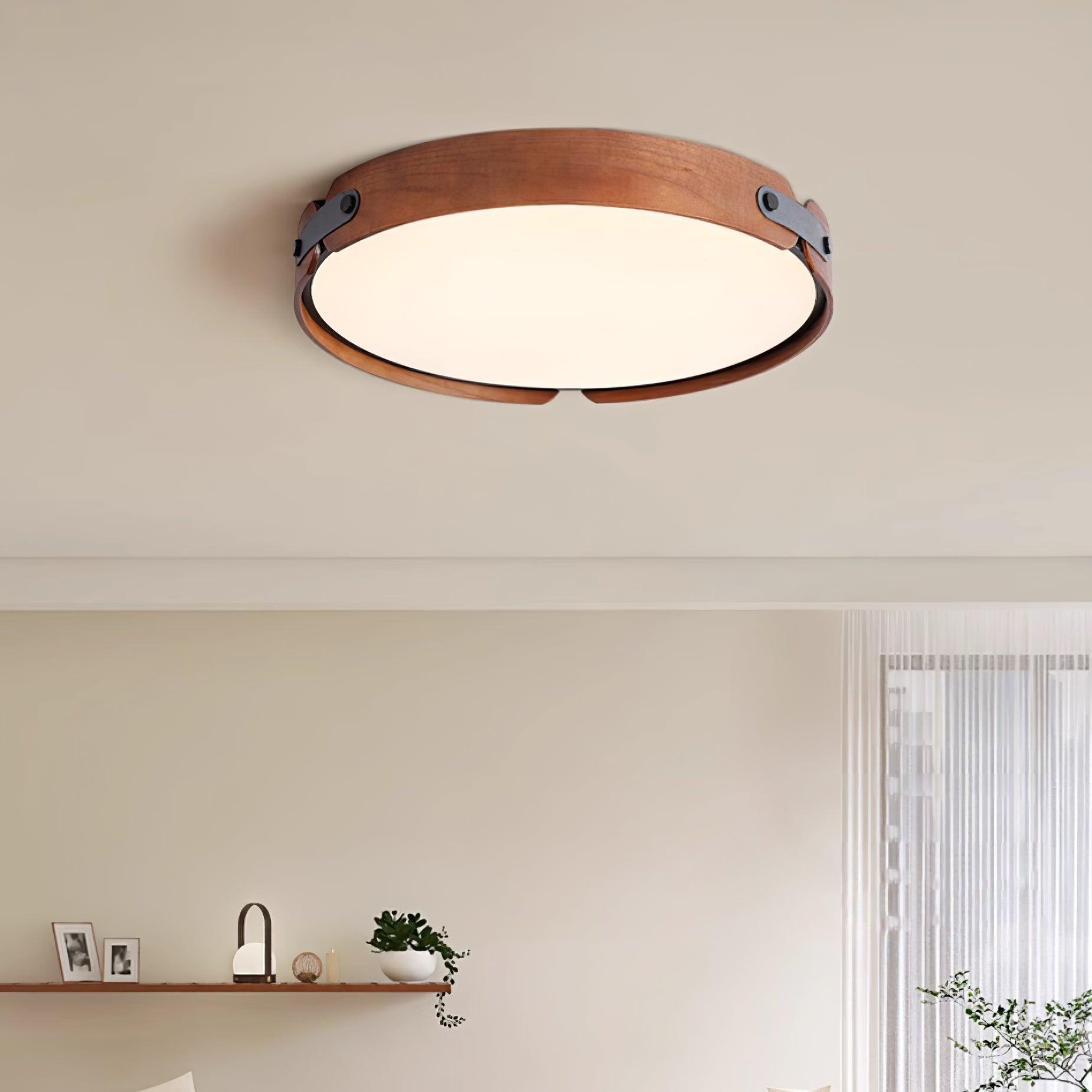 Renlenor Ceiling Light