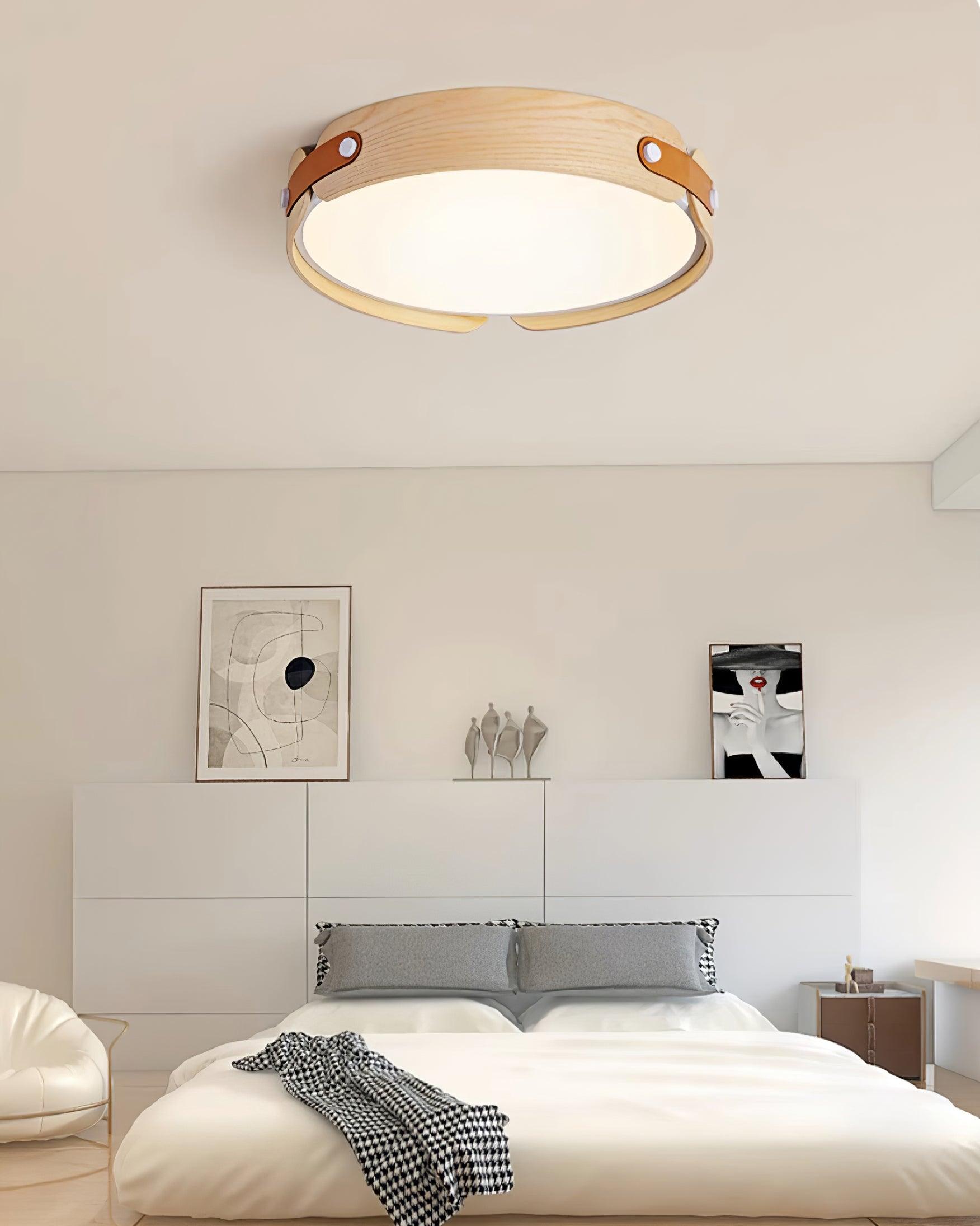 Renlenor Ceiling Light
