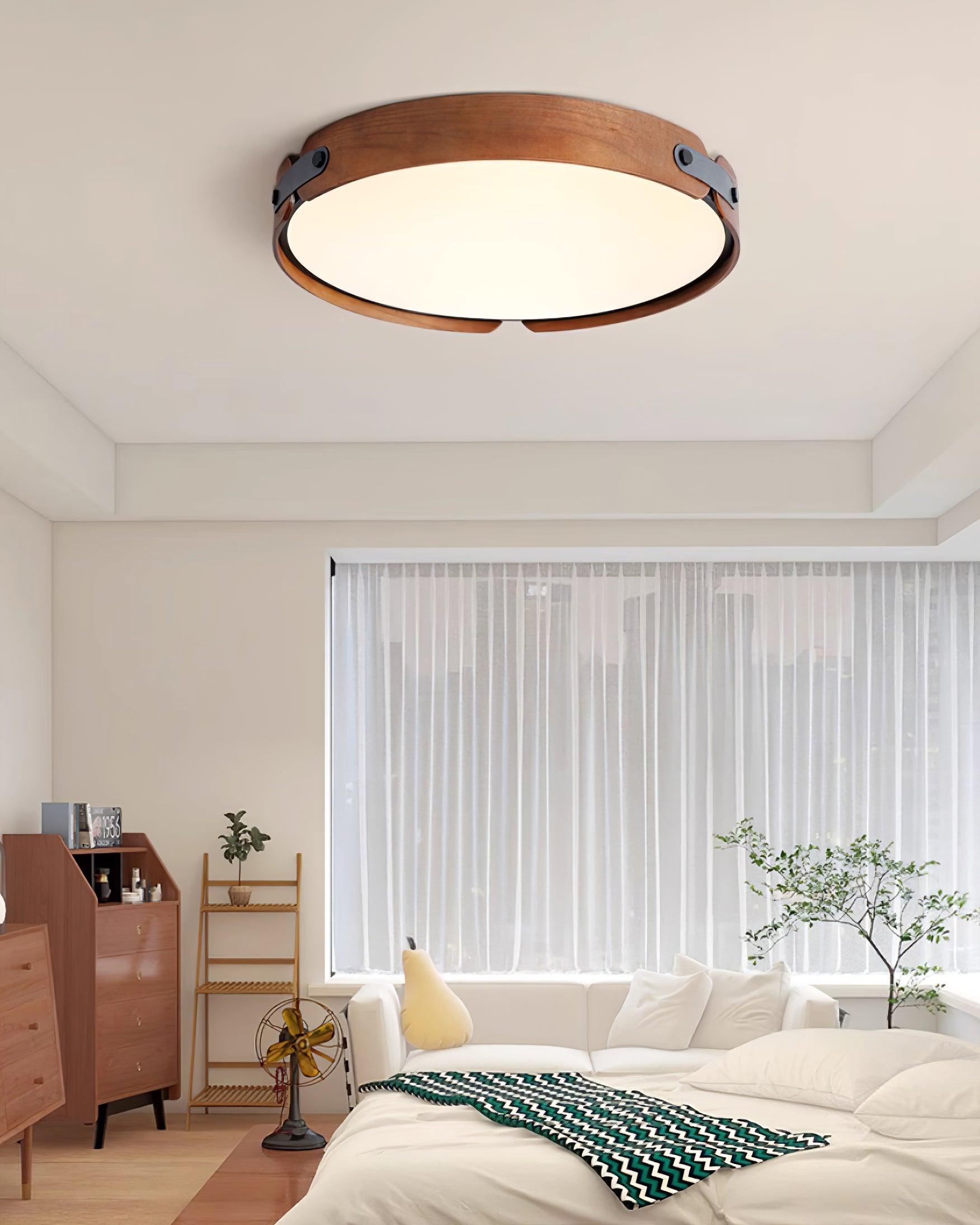 Renlenor Ceiling Light