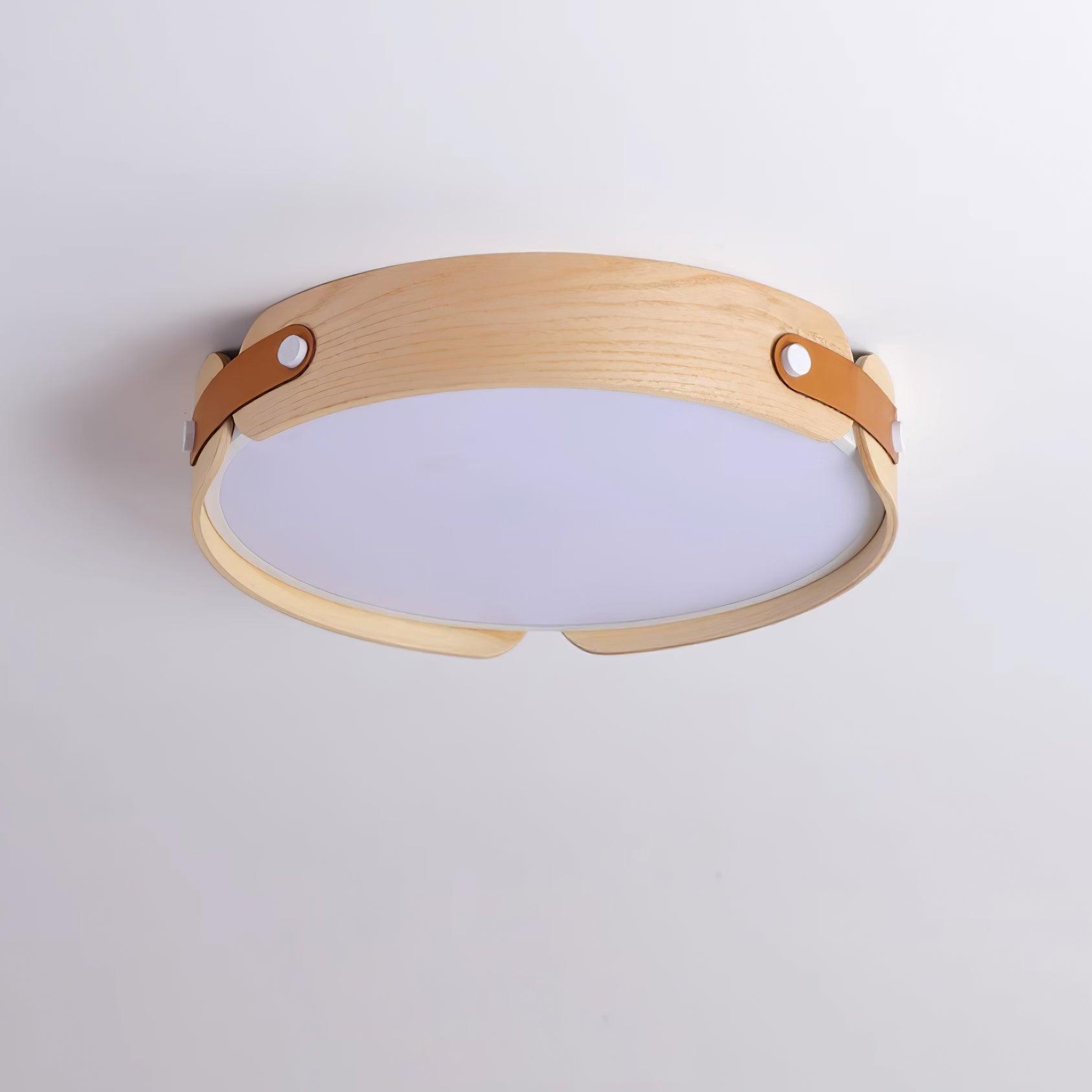 Renlenor Ceiling Light