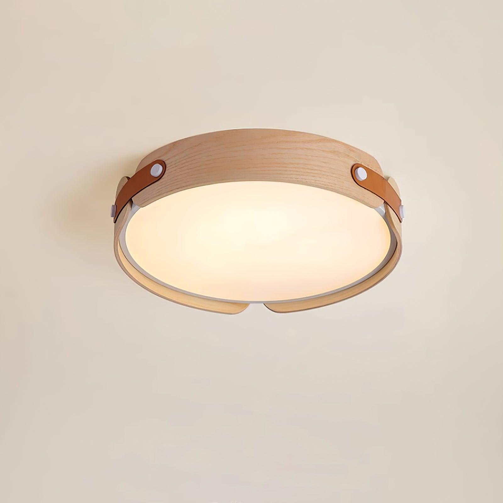 Renlenor Ceiling Light