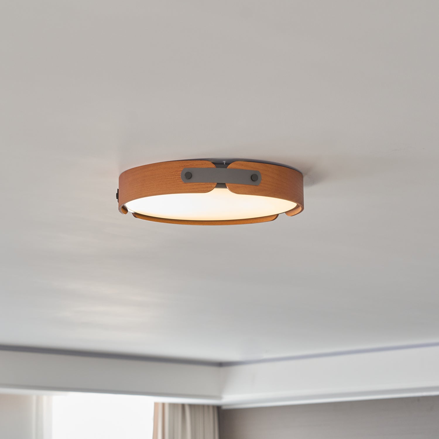 Renlenor Ceiling Light