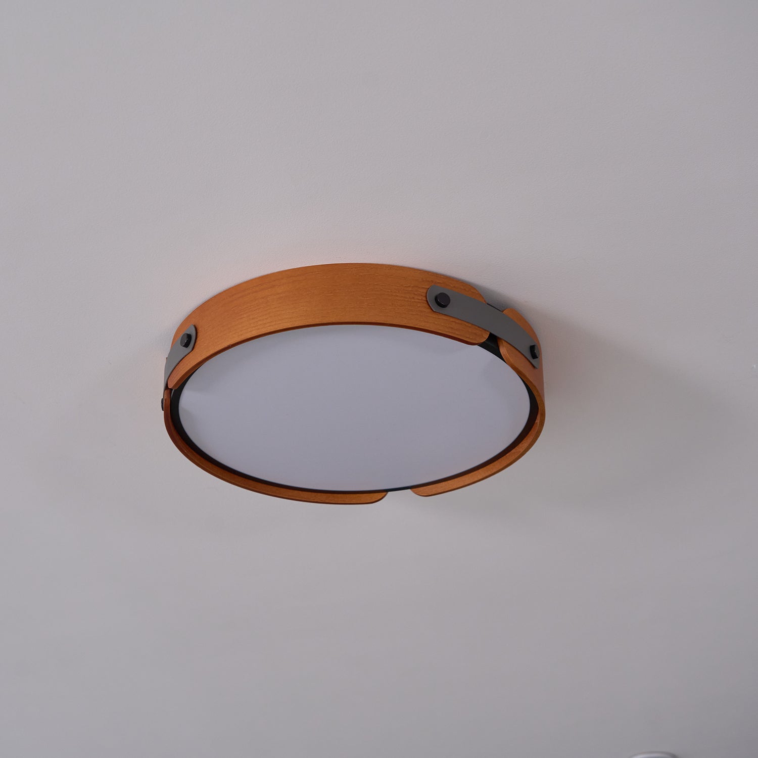 Renlenor Ceiling Light
