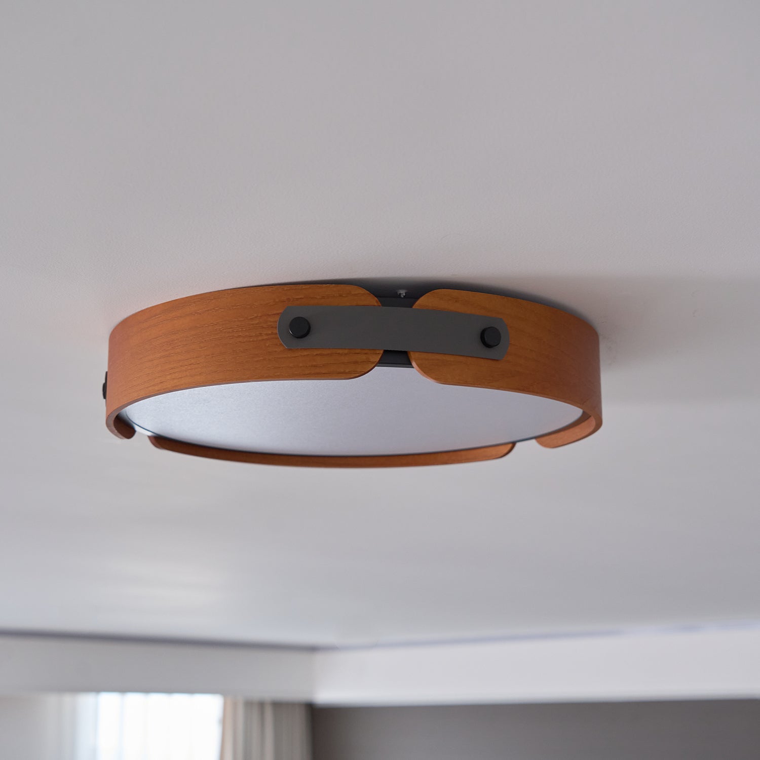 Renlenor Ceiling Light