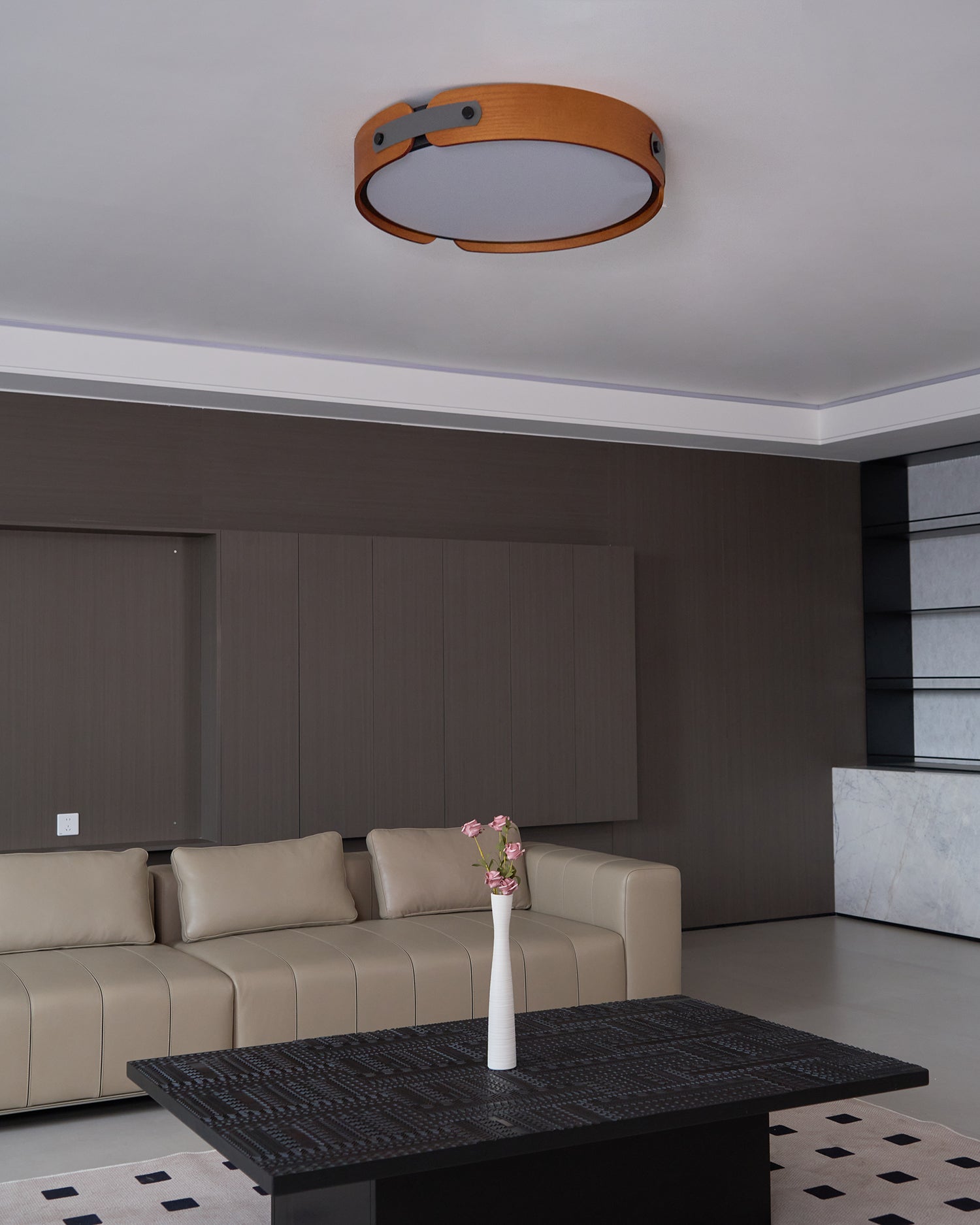 Renlenor Ceiling Light