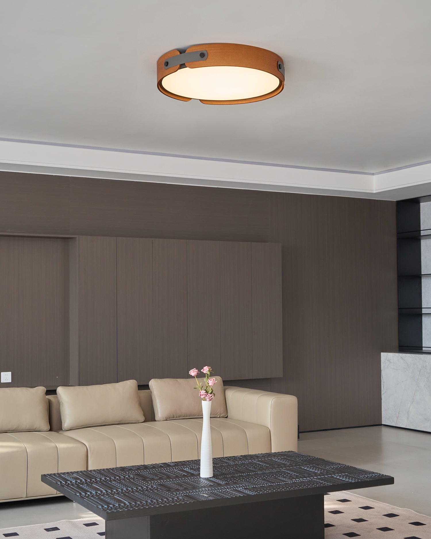 Renlenor Ceiling Light