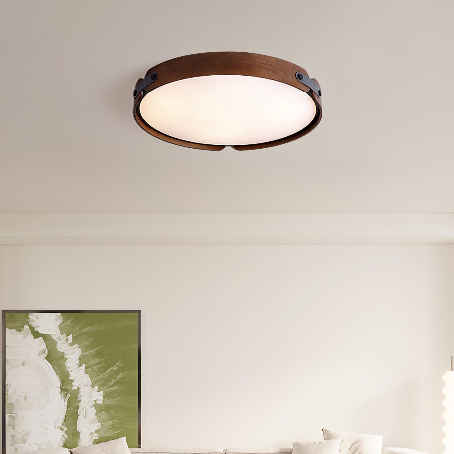 Renlenor Ceiling Light