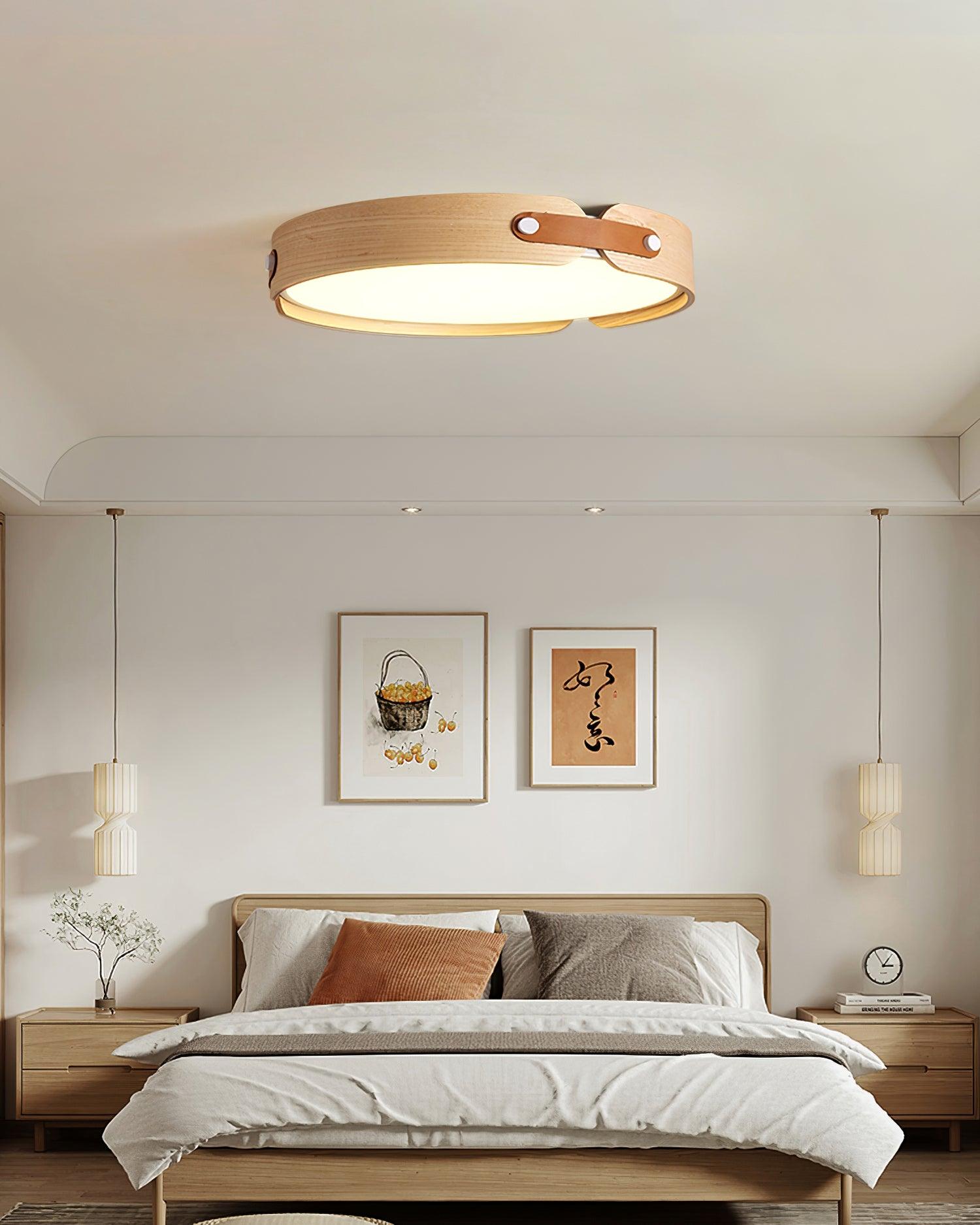 Renlenor Ceiling Light