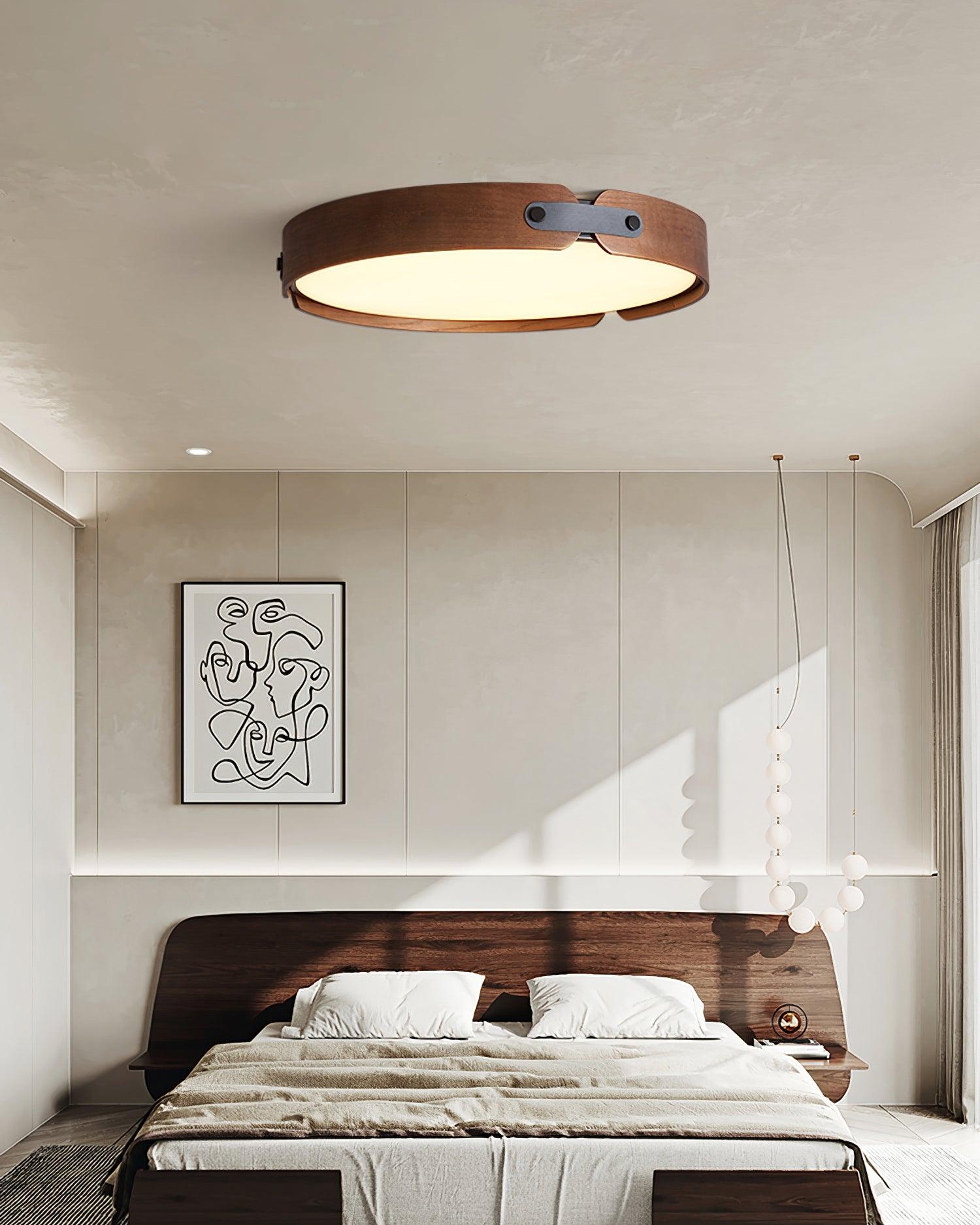 Renlenor Ceiling Light