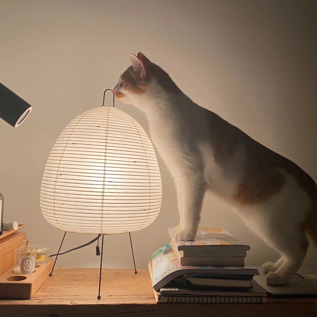 Torsonus Table Lamp