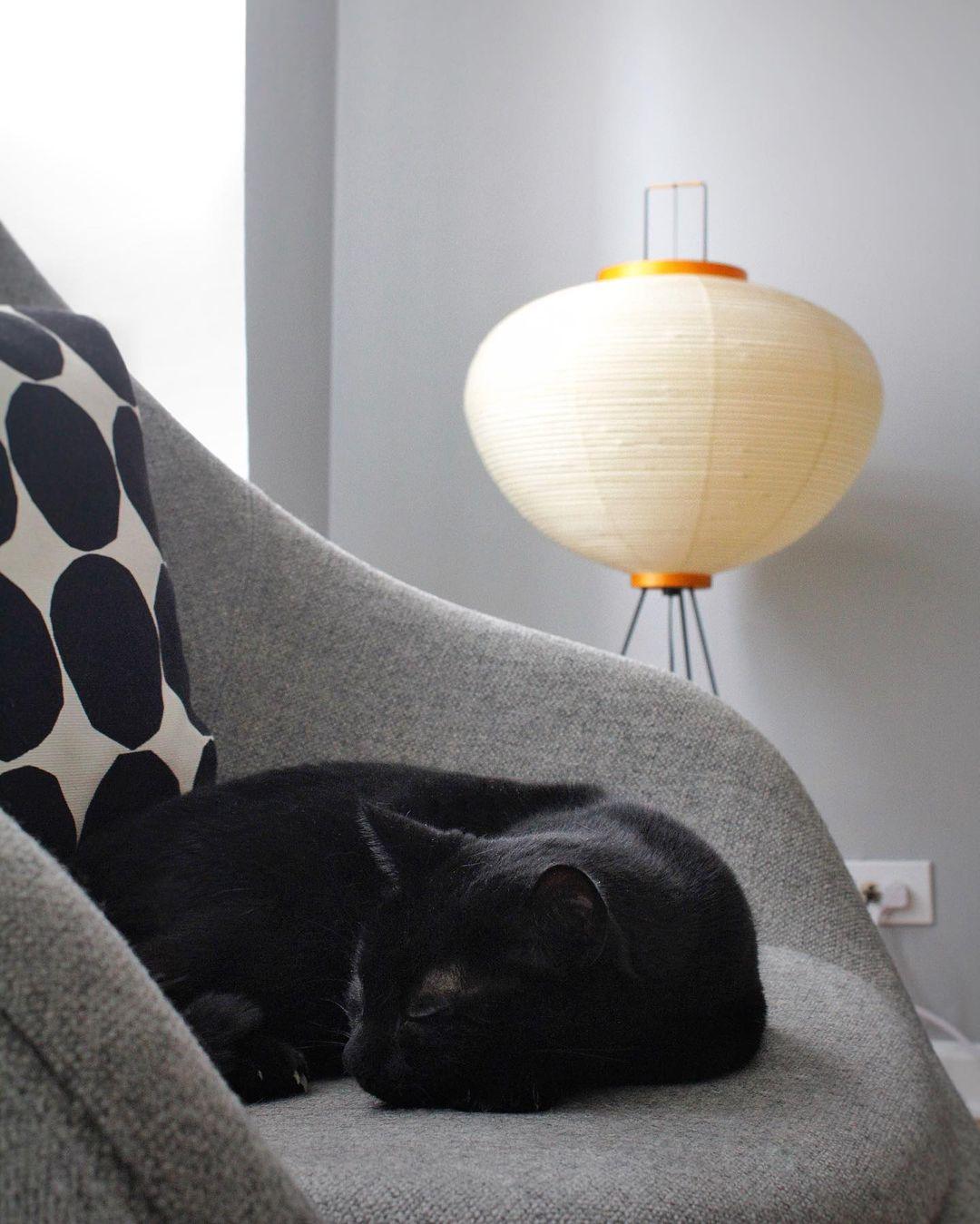 Finiford Floor Lamp