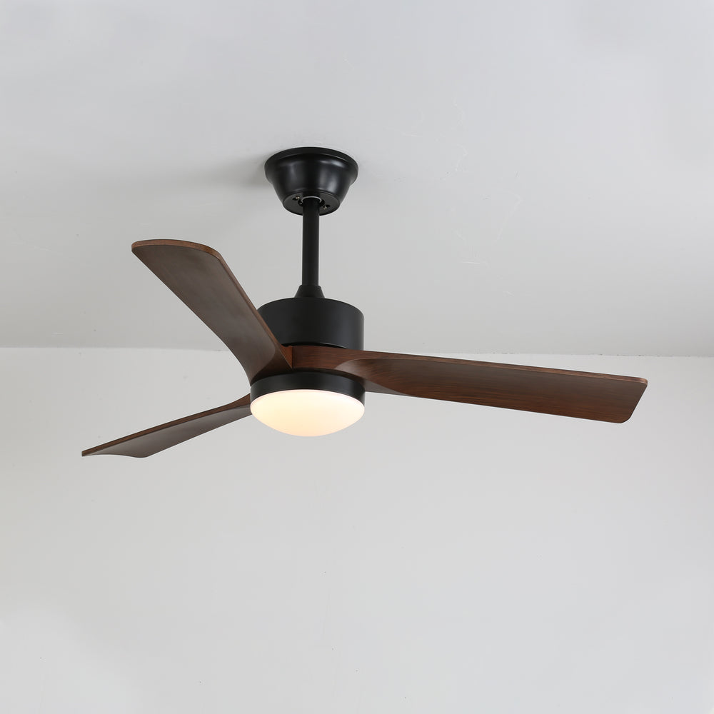 Alkafy Ceiling Fan Light – detail 6
