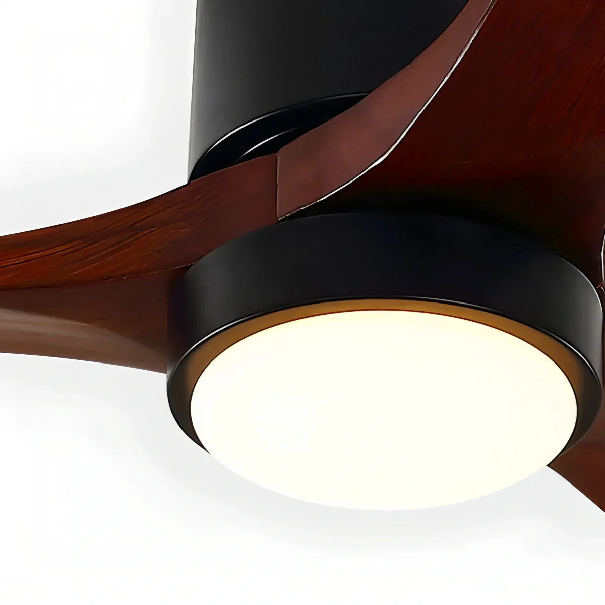 Larkey Ceiling Fan Light