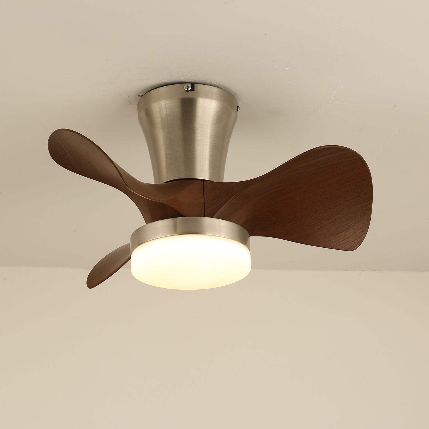 Quinas Ceiling Fan Light