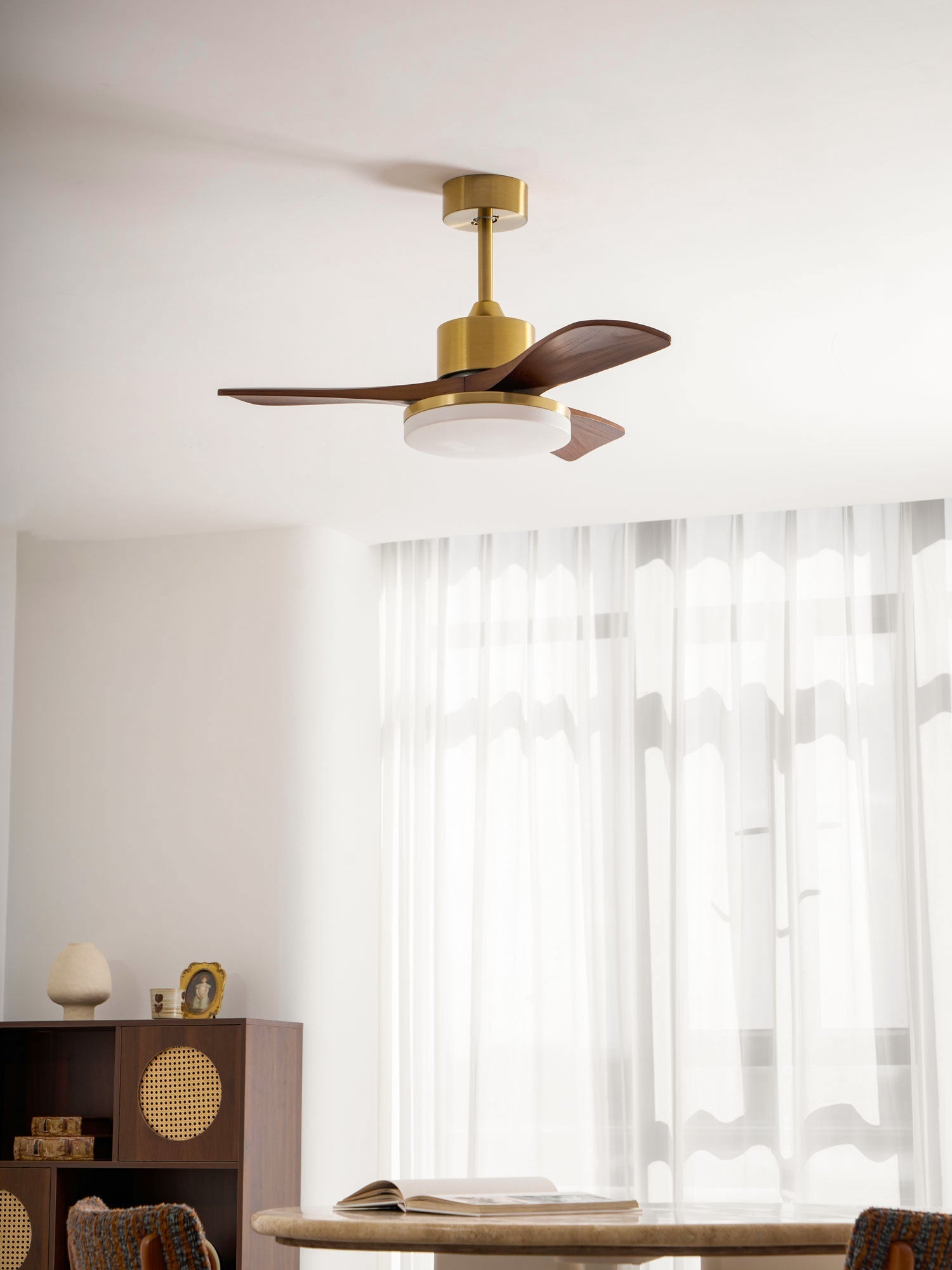 Virova Ceiling Fan Light