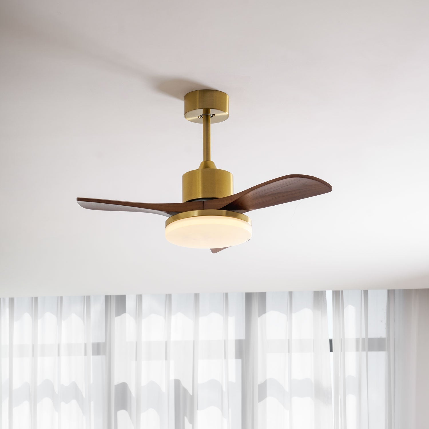 Virova Ceiling Fan Light